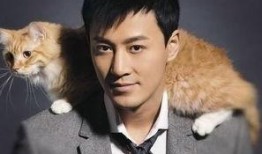 娱乐大爆料林峰小说,林峰小说中的璀璨星途