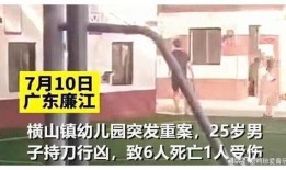 廉江知情人爆料案件最新,知情人士揭秘背后惊人真相